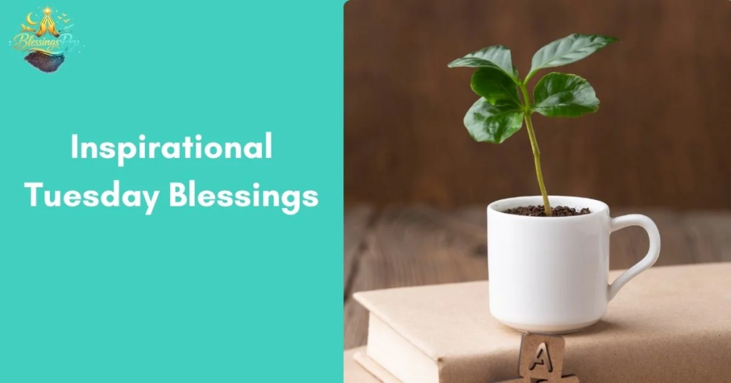 Inspirational Tuesday Blessings to Start Your Day